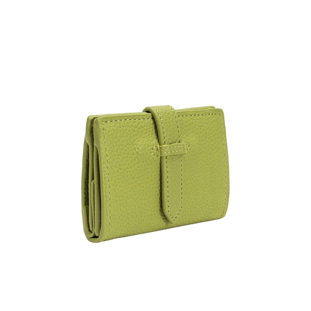Pistachio Wallet