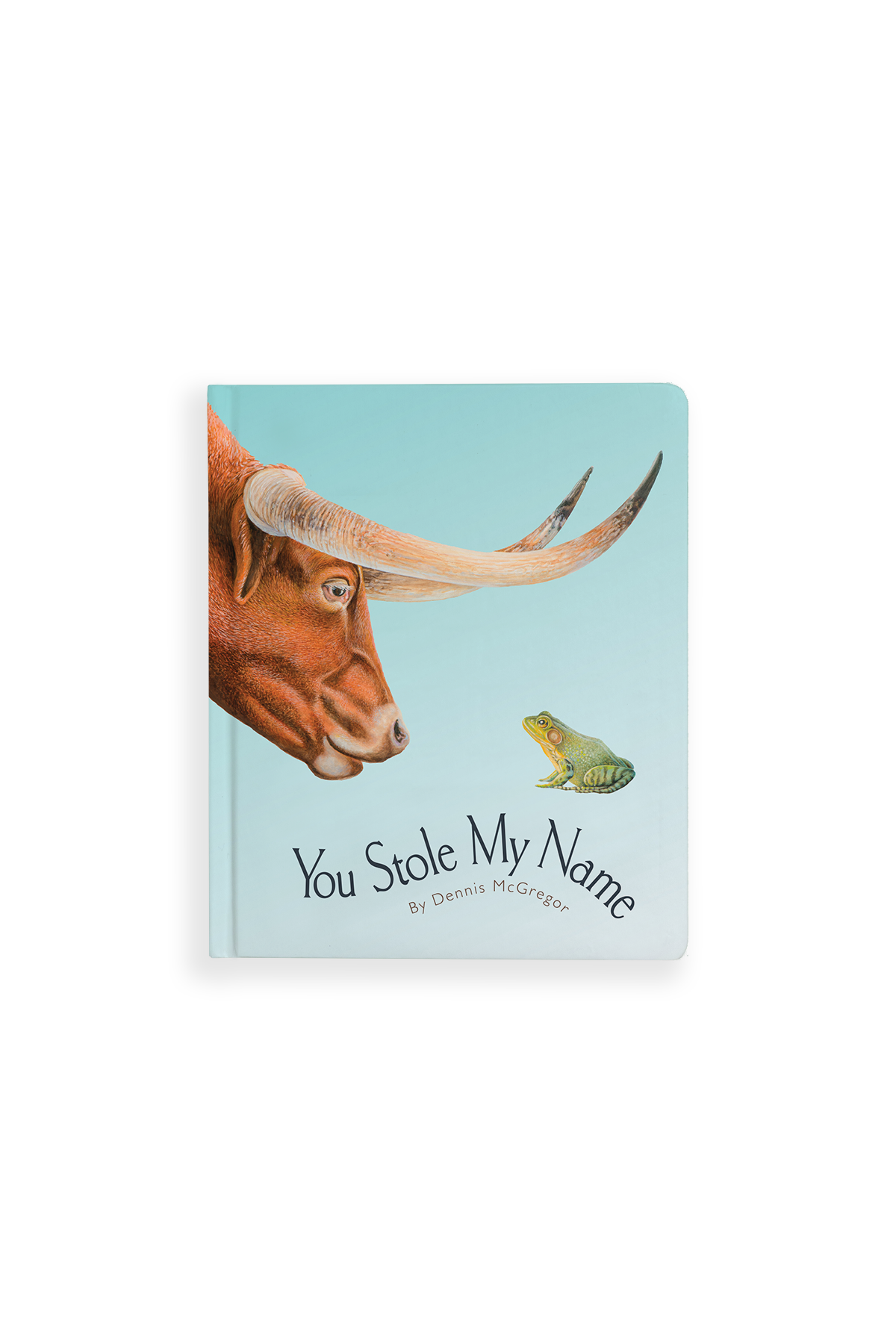 You Stole My Name Board Book