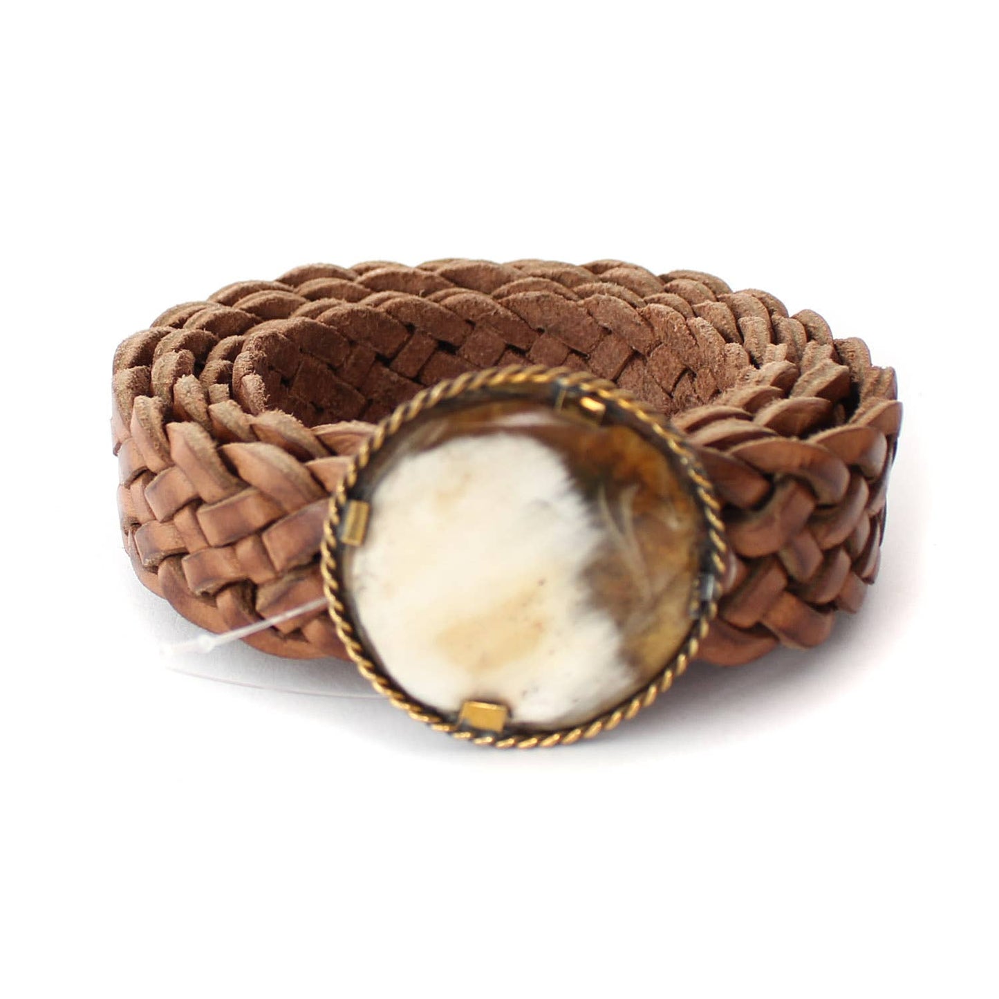 Savanna Belt