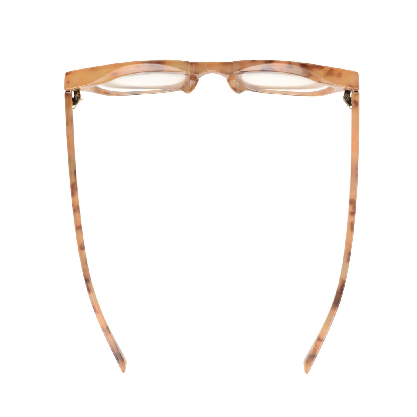 Light Tortoise Readers