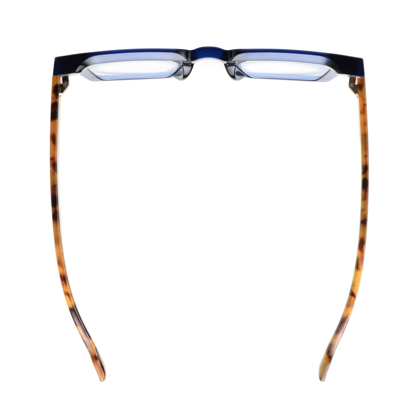 Navy Blue Tortoise Readers