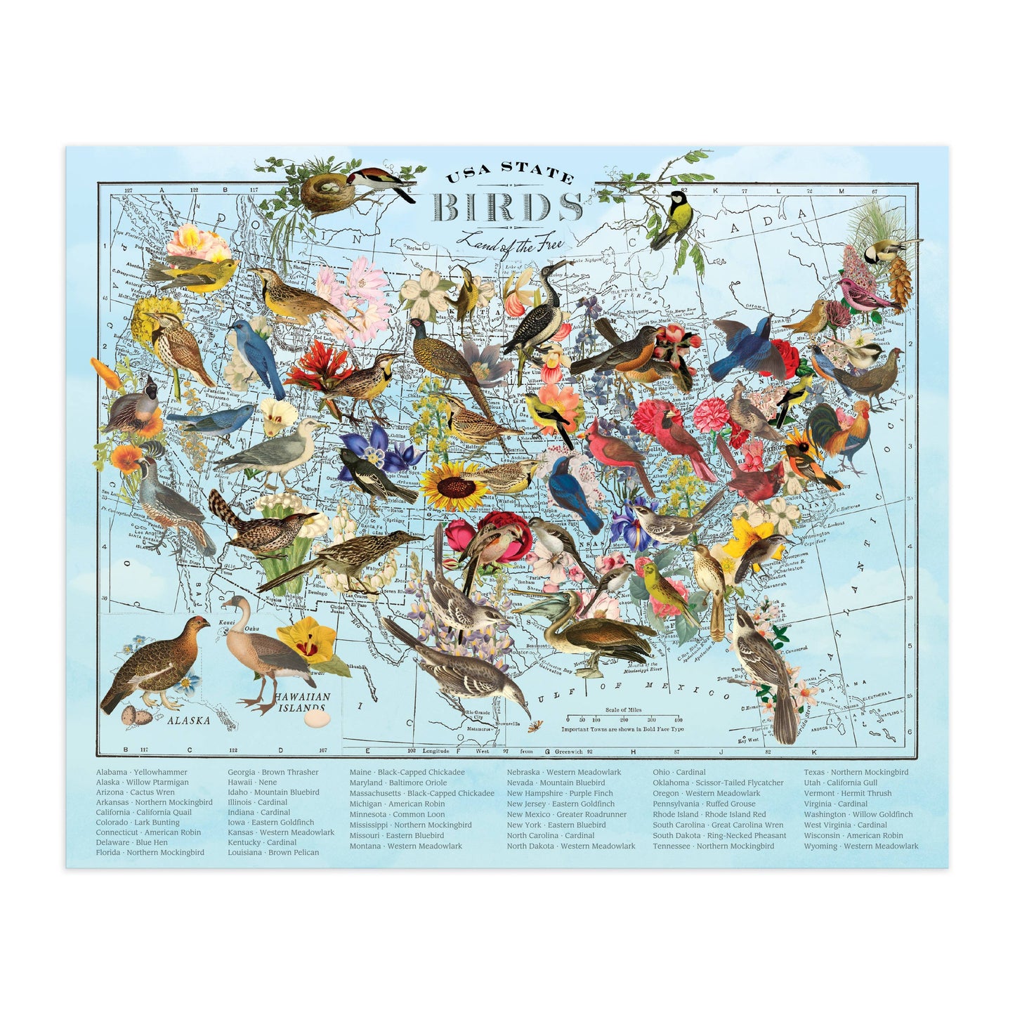 State Birds Puzzle