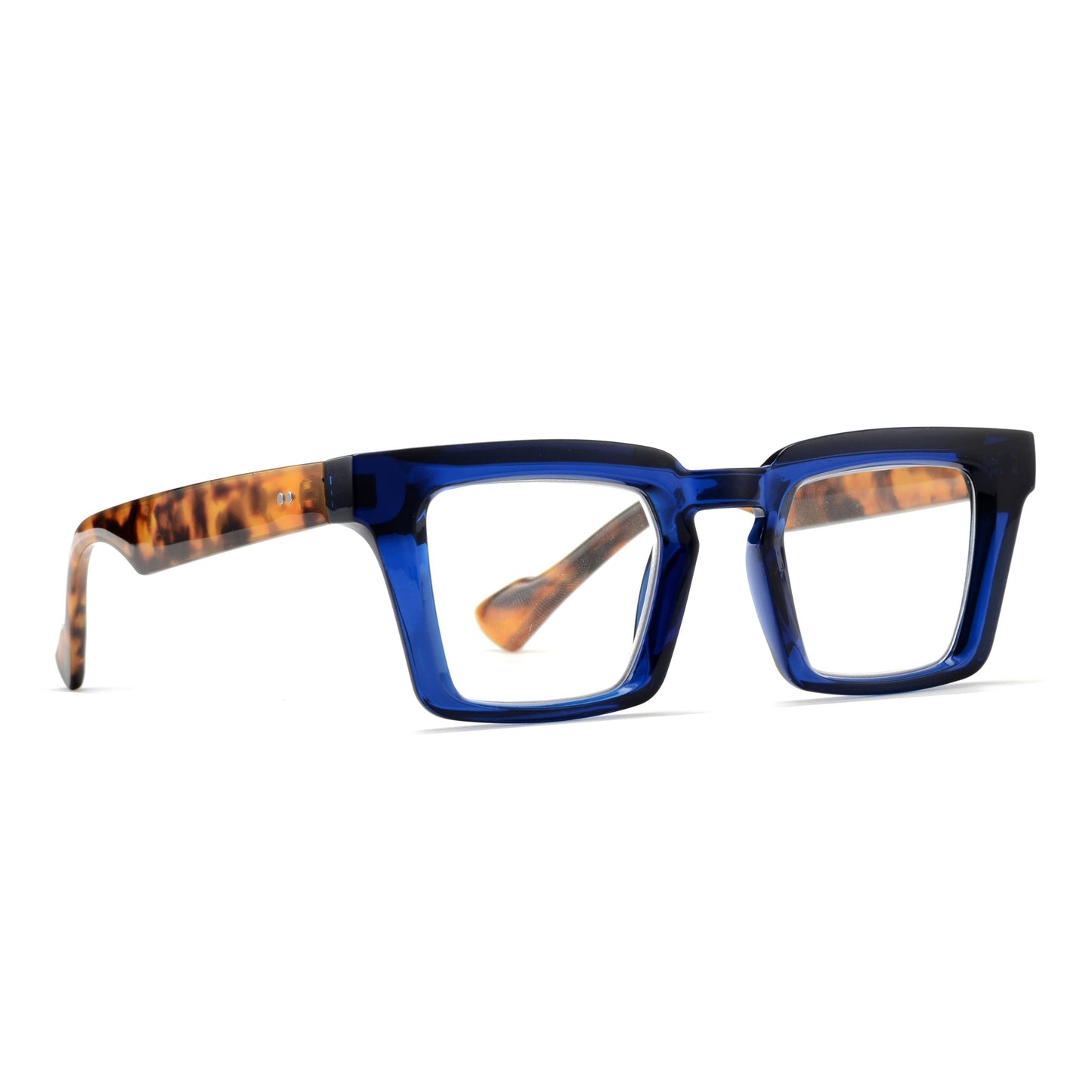 Navy Blue Tortoise Readers