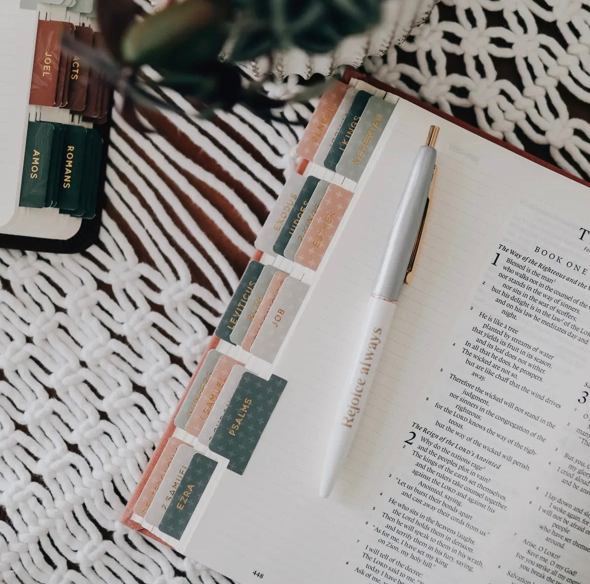 The Daily Grace Co. Bible Tabs