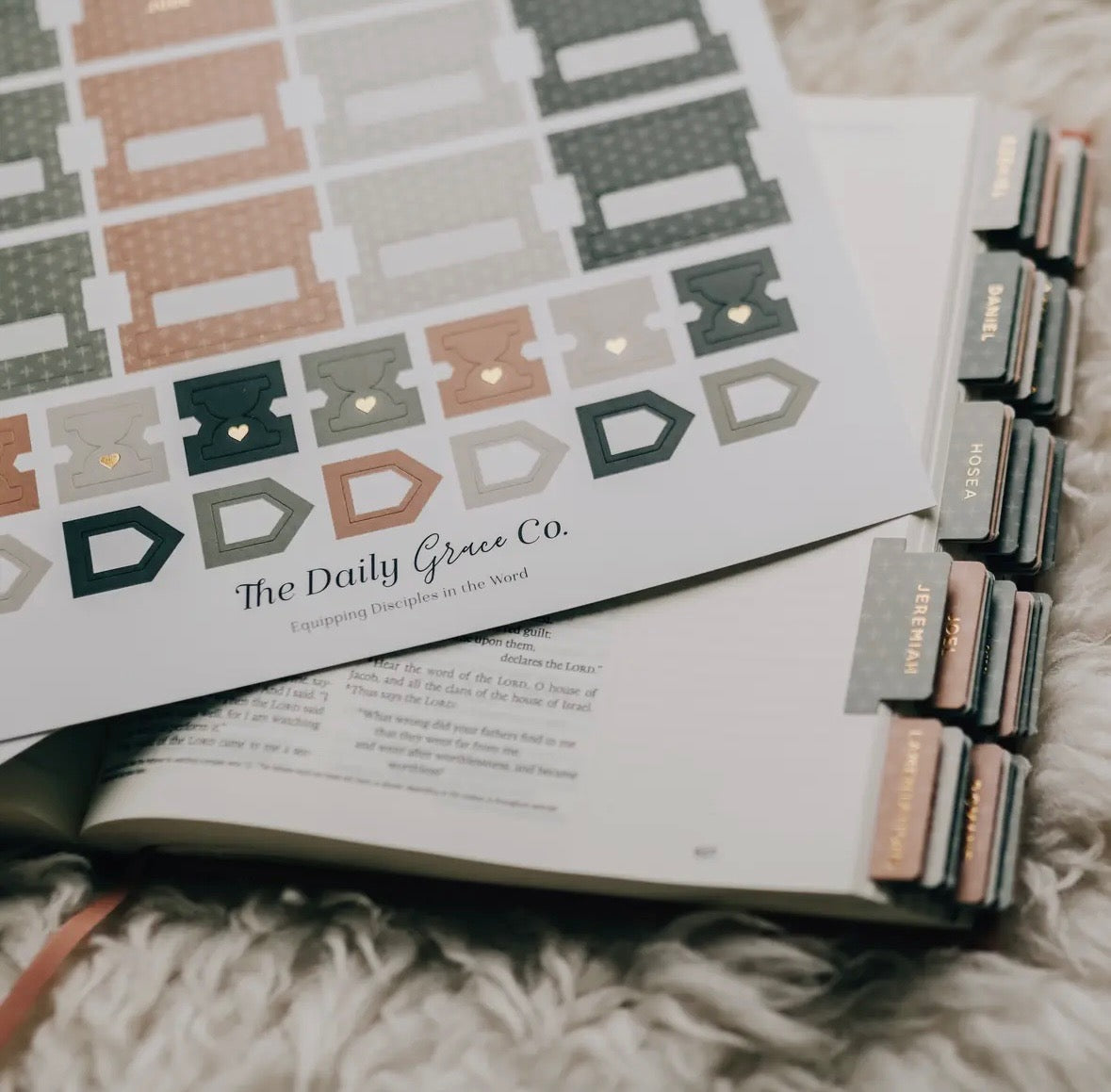 The Daily Grace Co. Bible Tabs