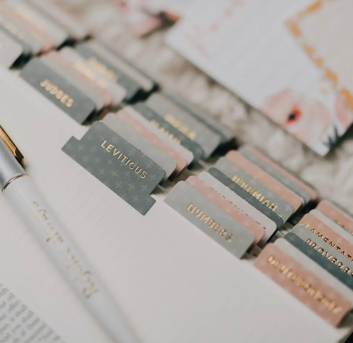 The Daily Grace Co. Bible Tabs
