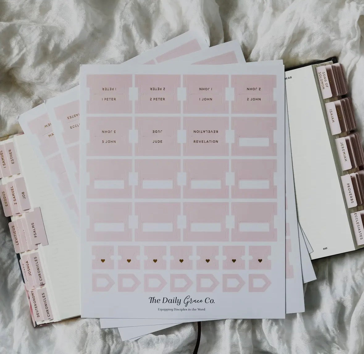 The Daily Grace Co. Bible Tabs