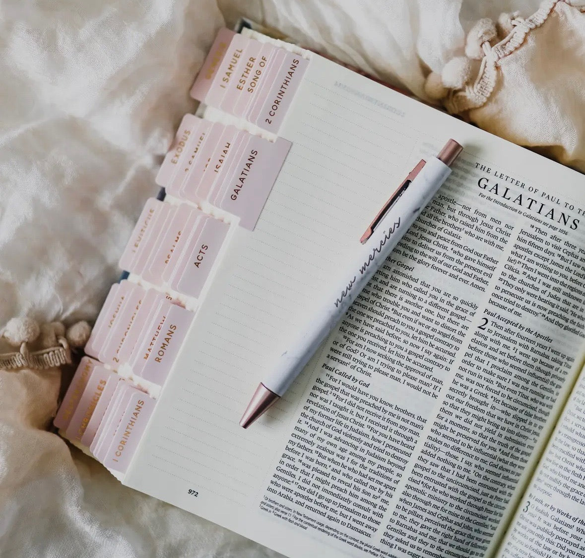The Daily Grace Co. Bible Tabs
