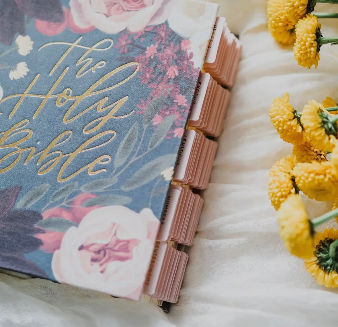 The Daily Grace Co. Bible Tabs