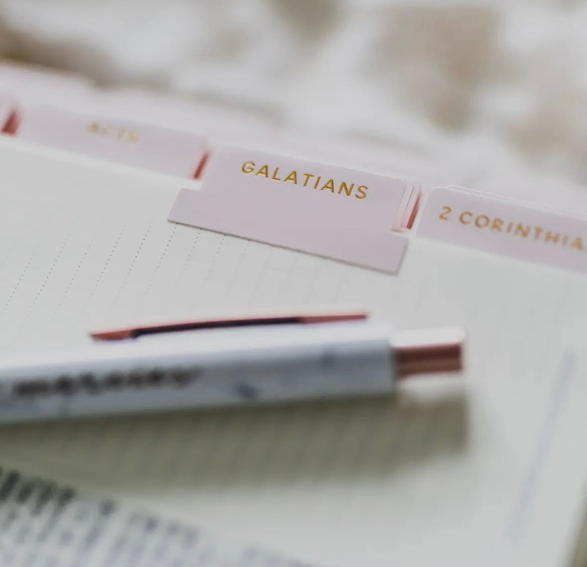 The Daily Grace Co. Bible Tabs
