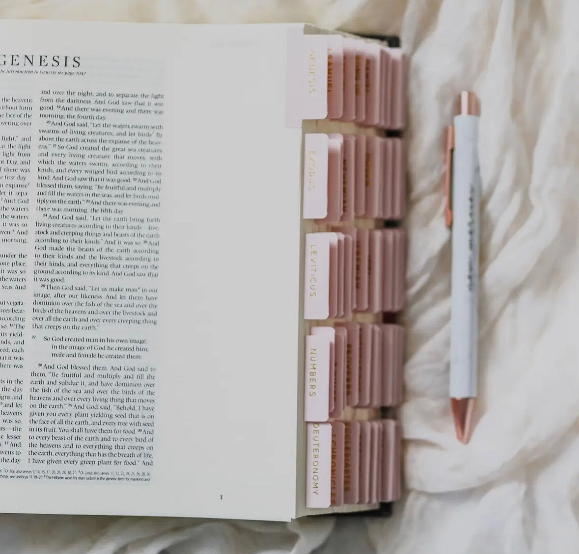 The Daily Grace Co. Bible Tabs