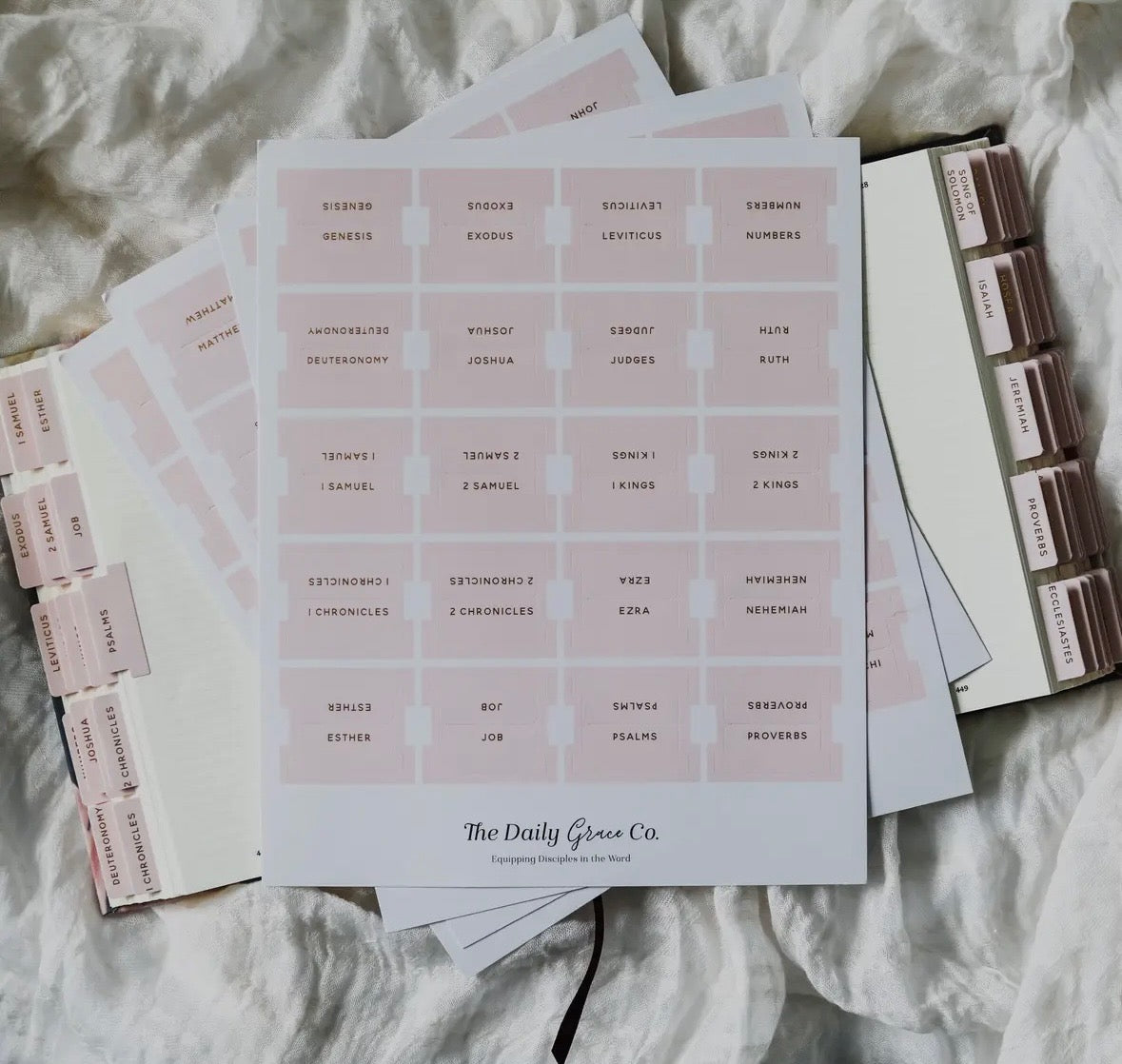 The Daily Grace Co. Bible Tabs