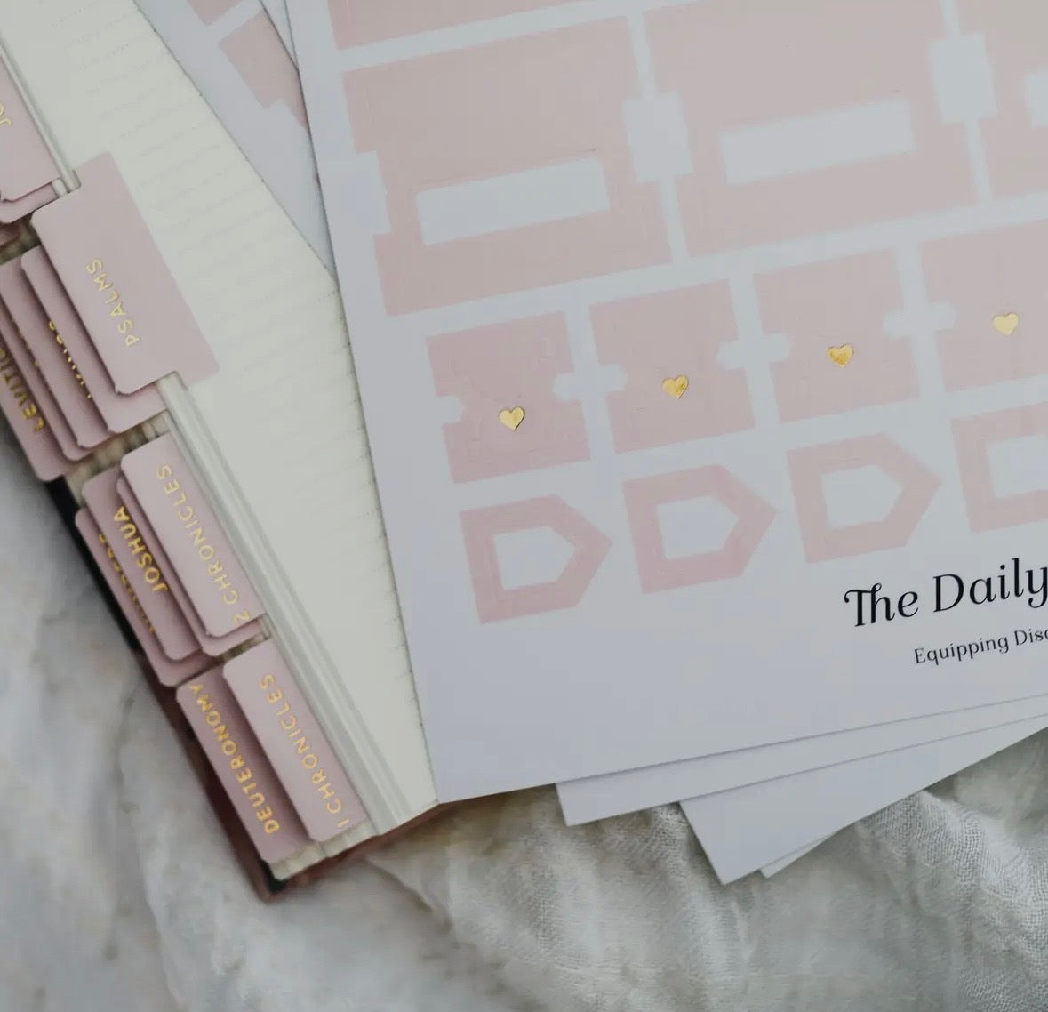 The Daily Grace Co. Bible Tabs