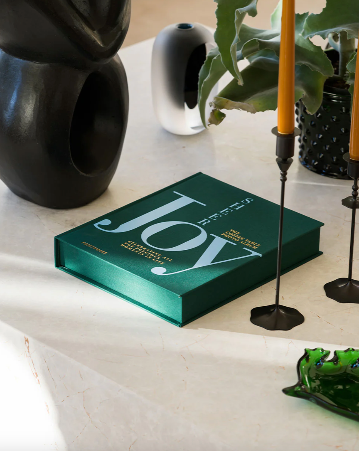 Sheer Joy Coffee Table Photo Album