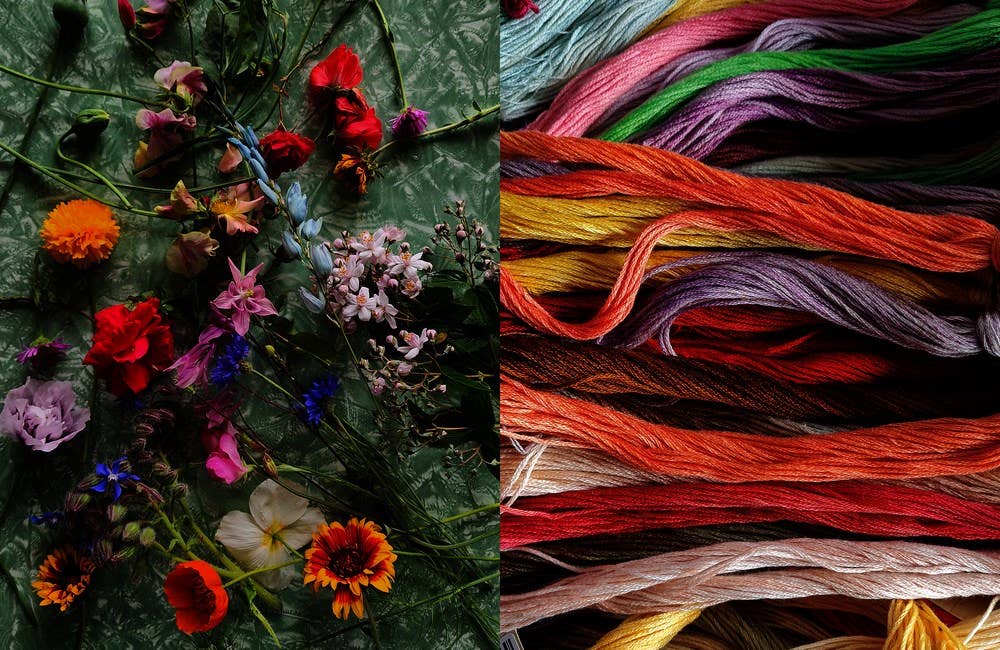 Untamed Thread Book