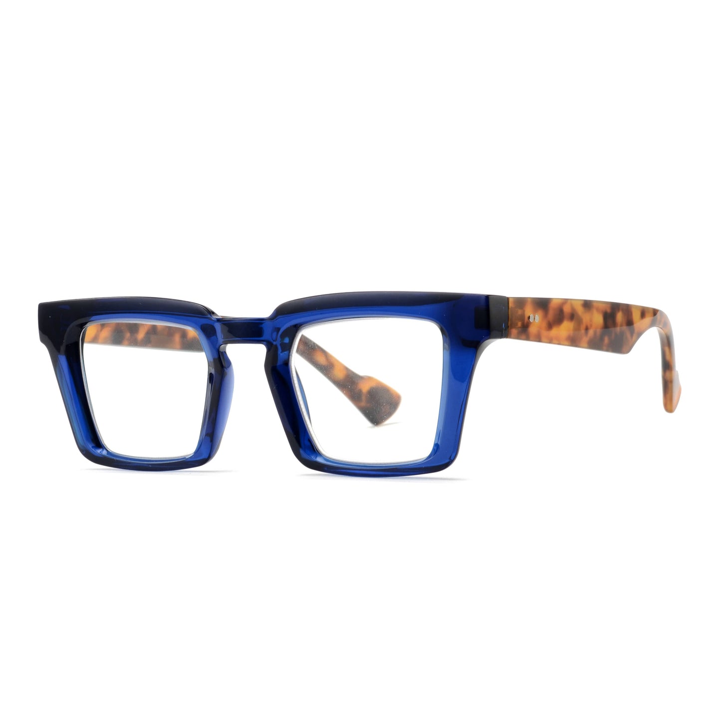 Navy Blue Tortoise Readers