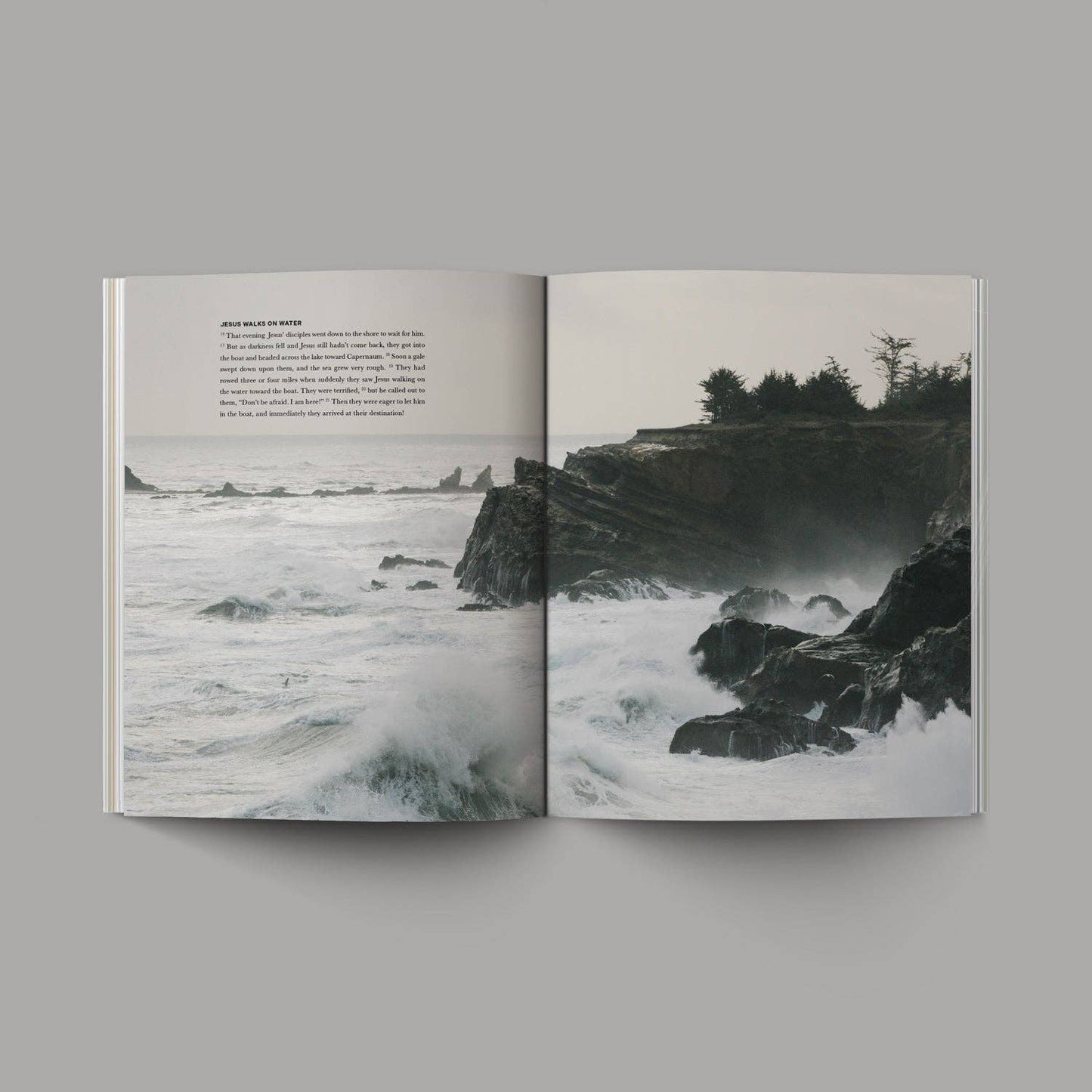 Gospels Hardcover