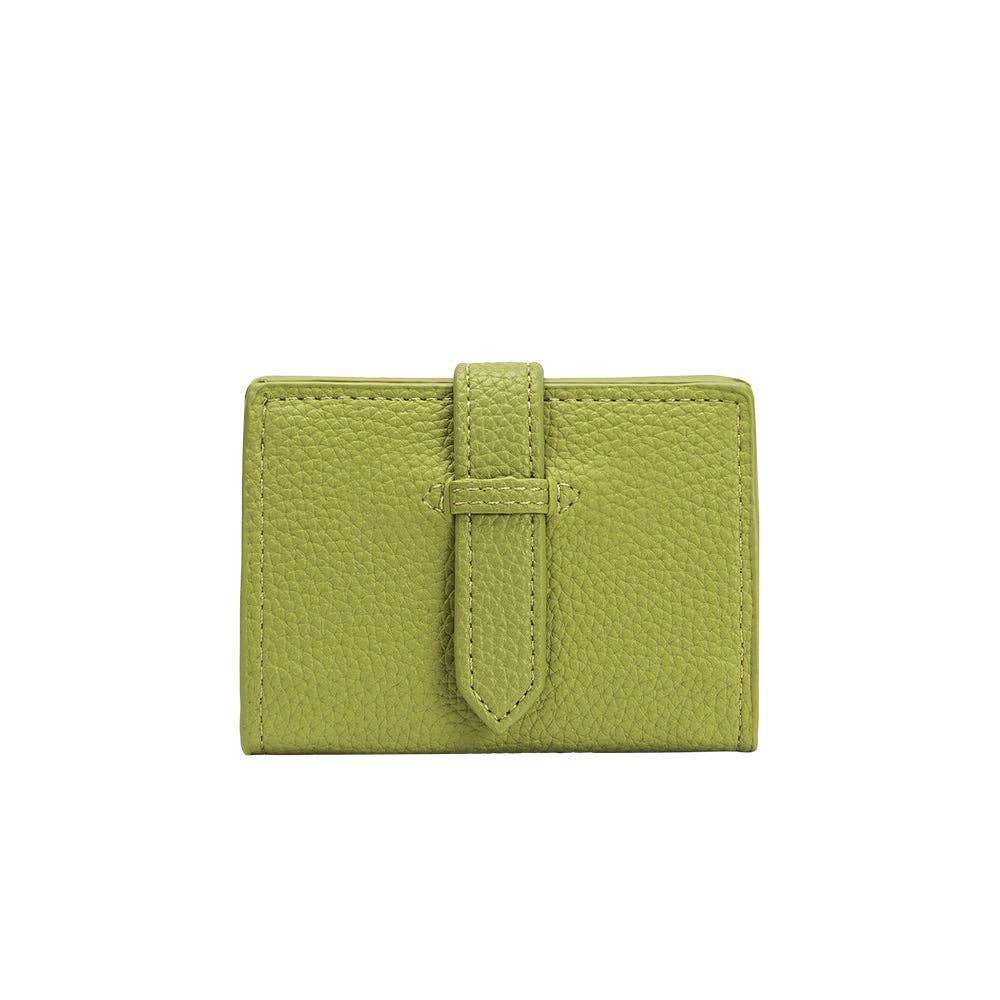 Pistachio Wallet