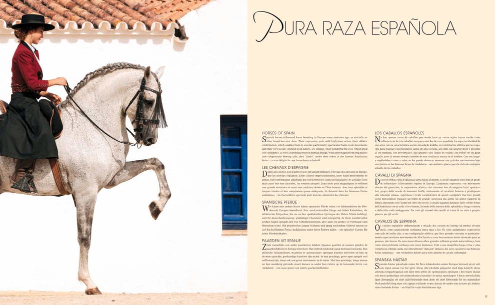 World's Most Beautiful Horses Book