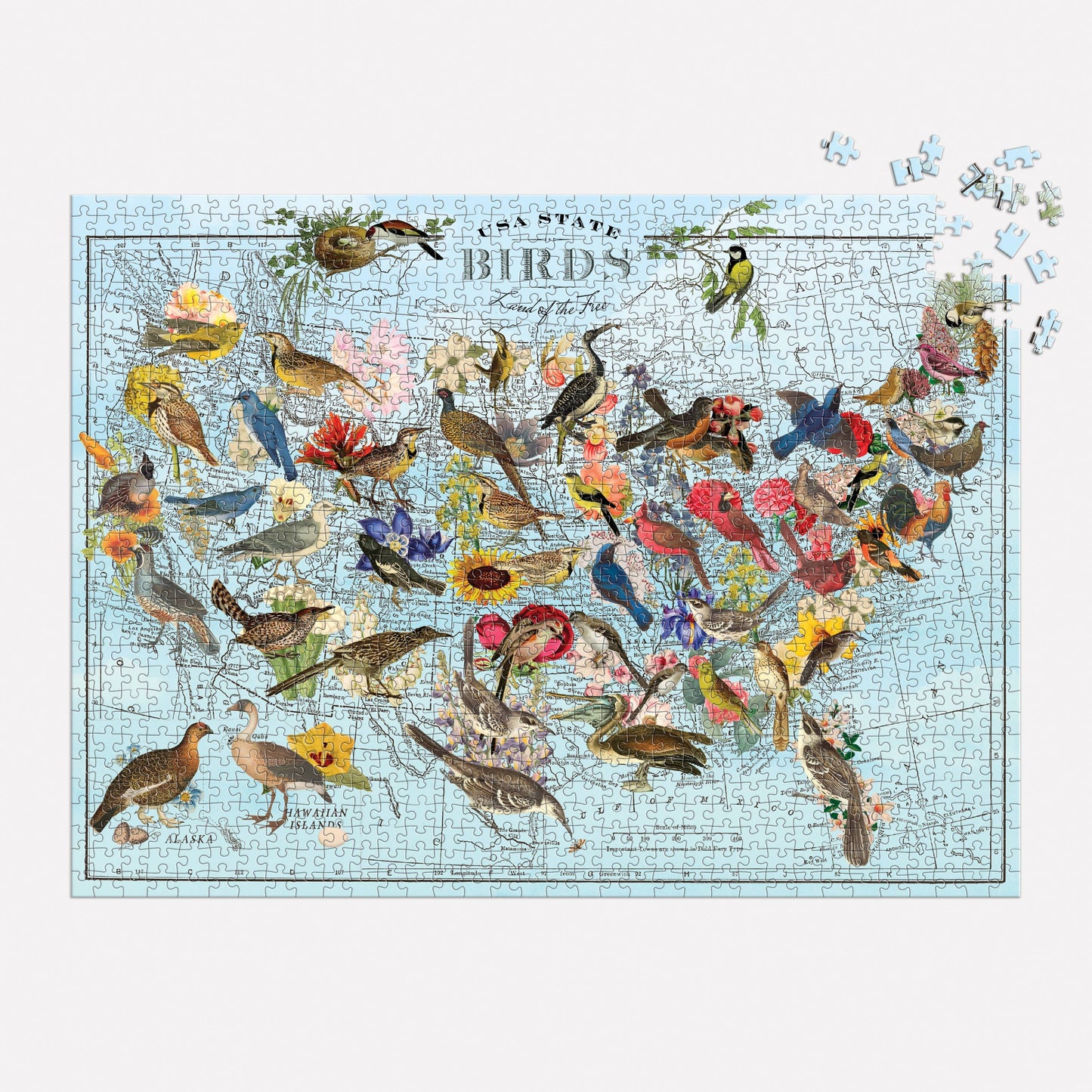 State Birds Puzzle