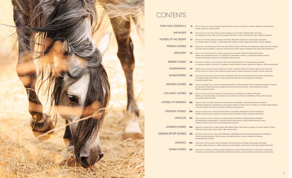 World's Most Beautiful Horses Book