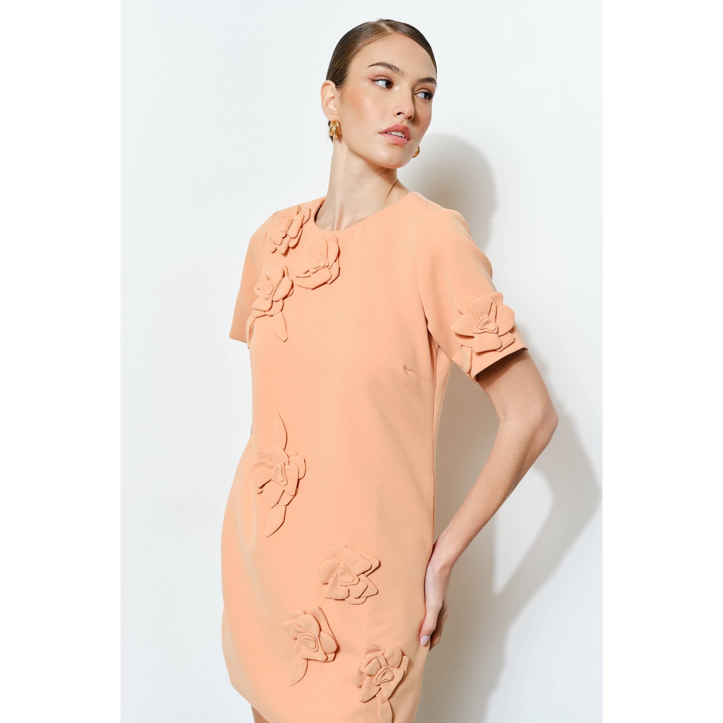3D Floral Mini Dress