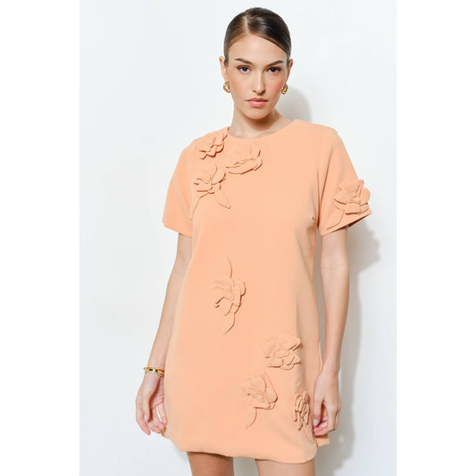3D Floral Mini Dress