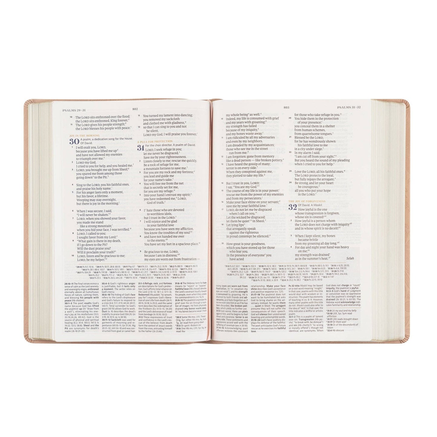 CSB Women's Study Bible: Sonora Theme