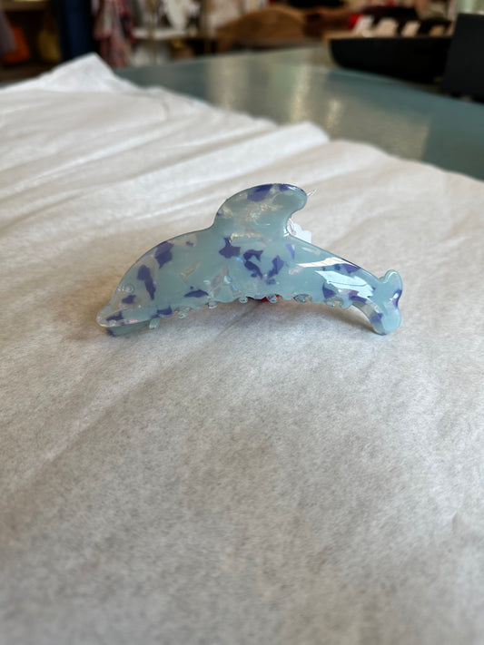 Daisy the Dolphin
