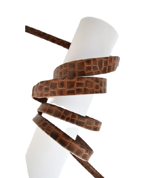 Capitol Reef Belt