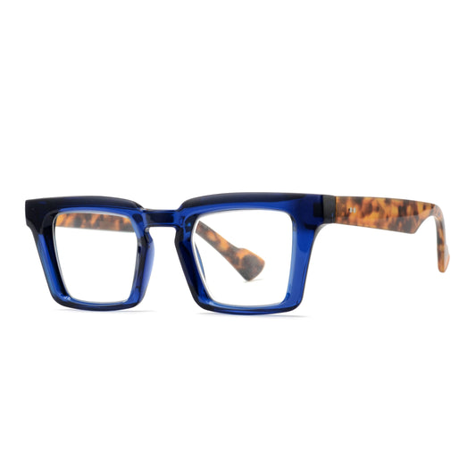 Navy Blue Tortoise Readers