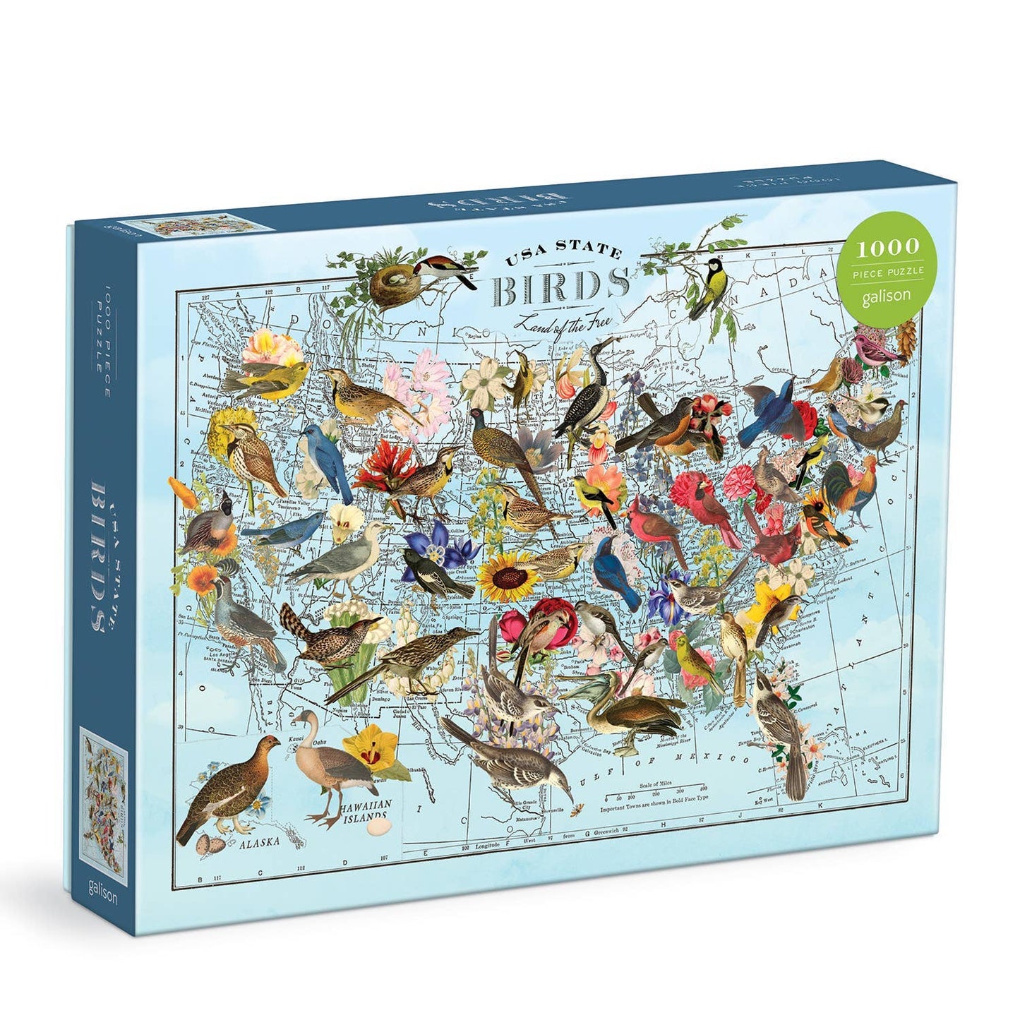 State Birds Puzzle
