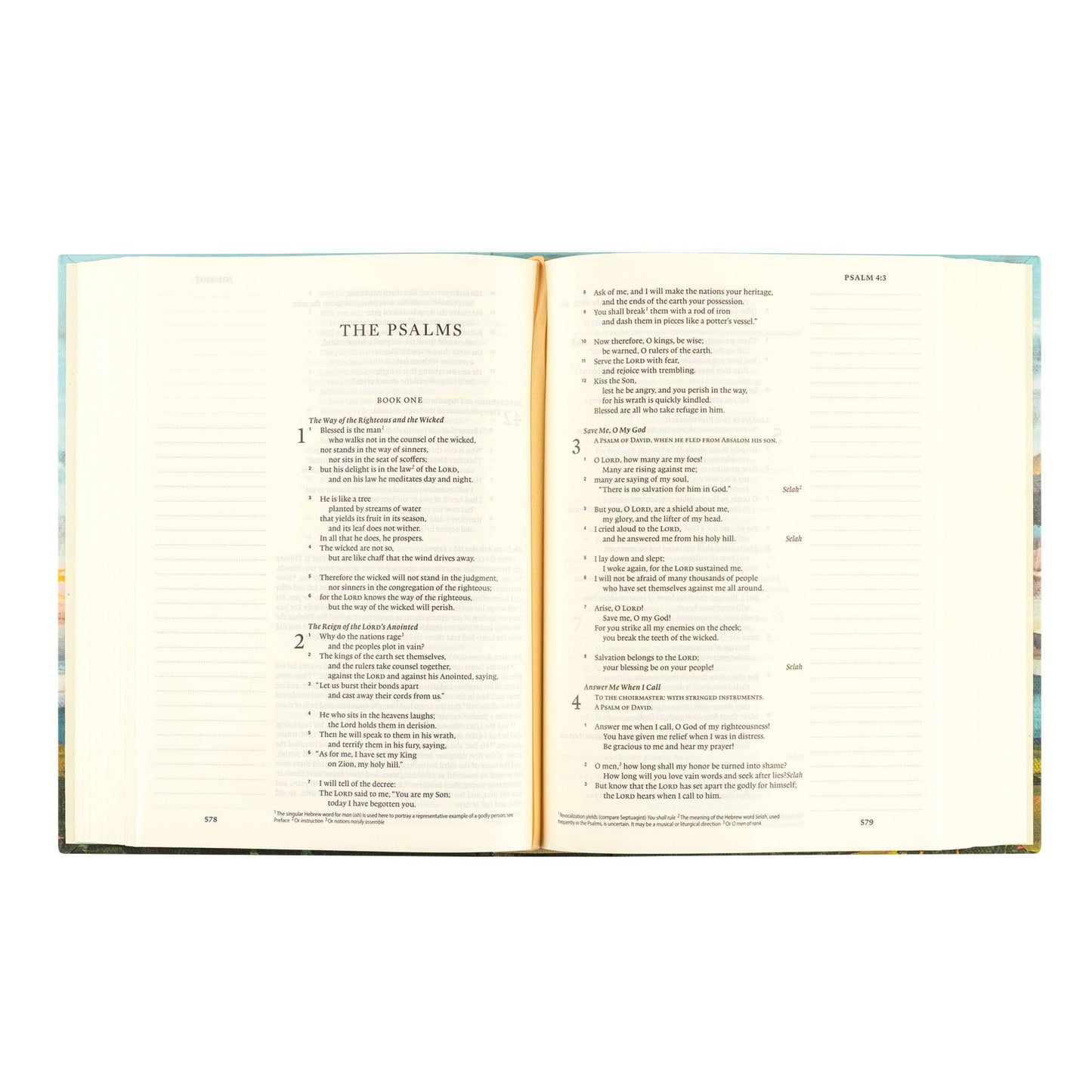 ESV Journaling Bible: Santa Lucia Theme