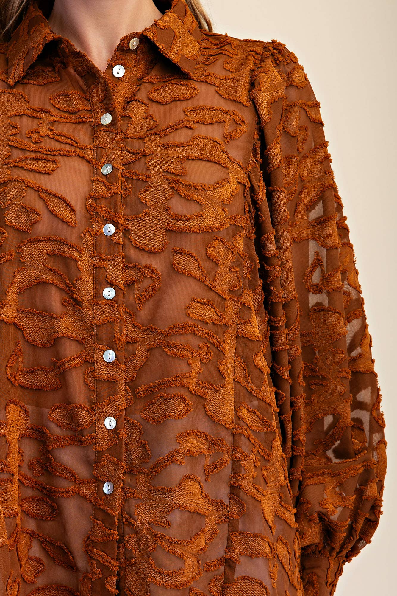 Oversized Sheer Long Sleeve